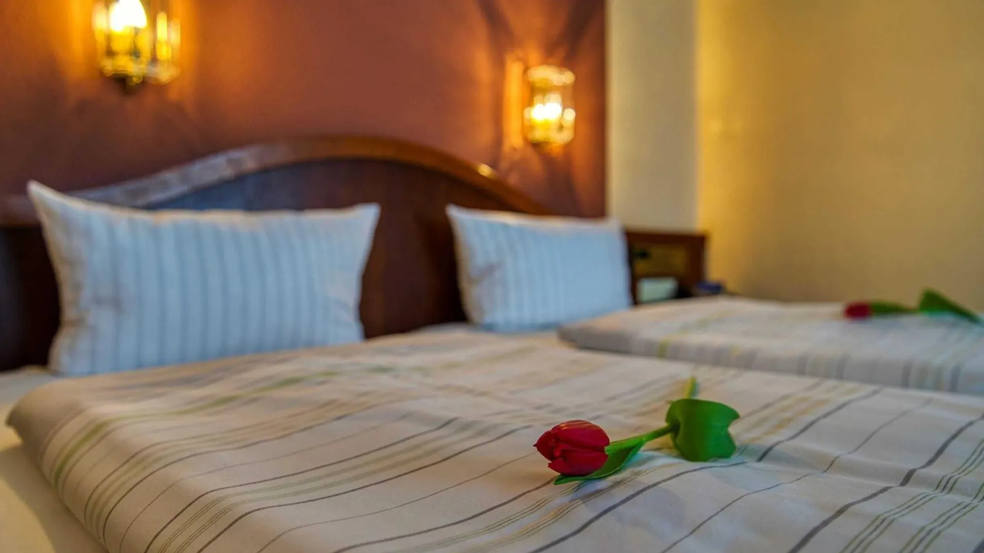 Reichels Parkhotel Bad Windsheim